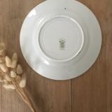 Flat plates iron St Amand Estival