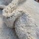 Tapis beni ouraine tissè main traditionnelle taille 200 x 300 cm