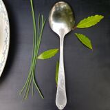 Sauce or dish spoon