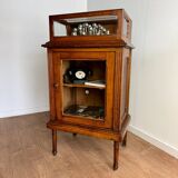 Elegant and vintage display cabinet