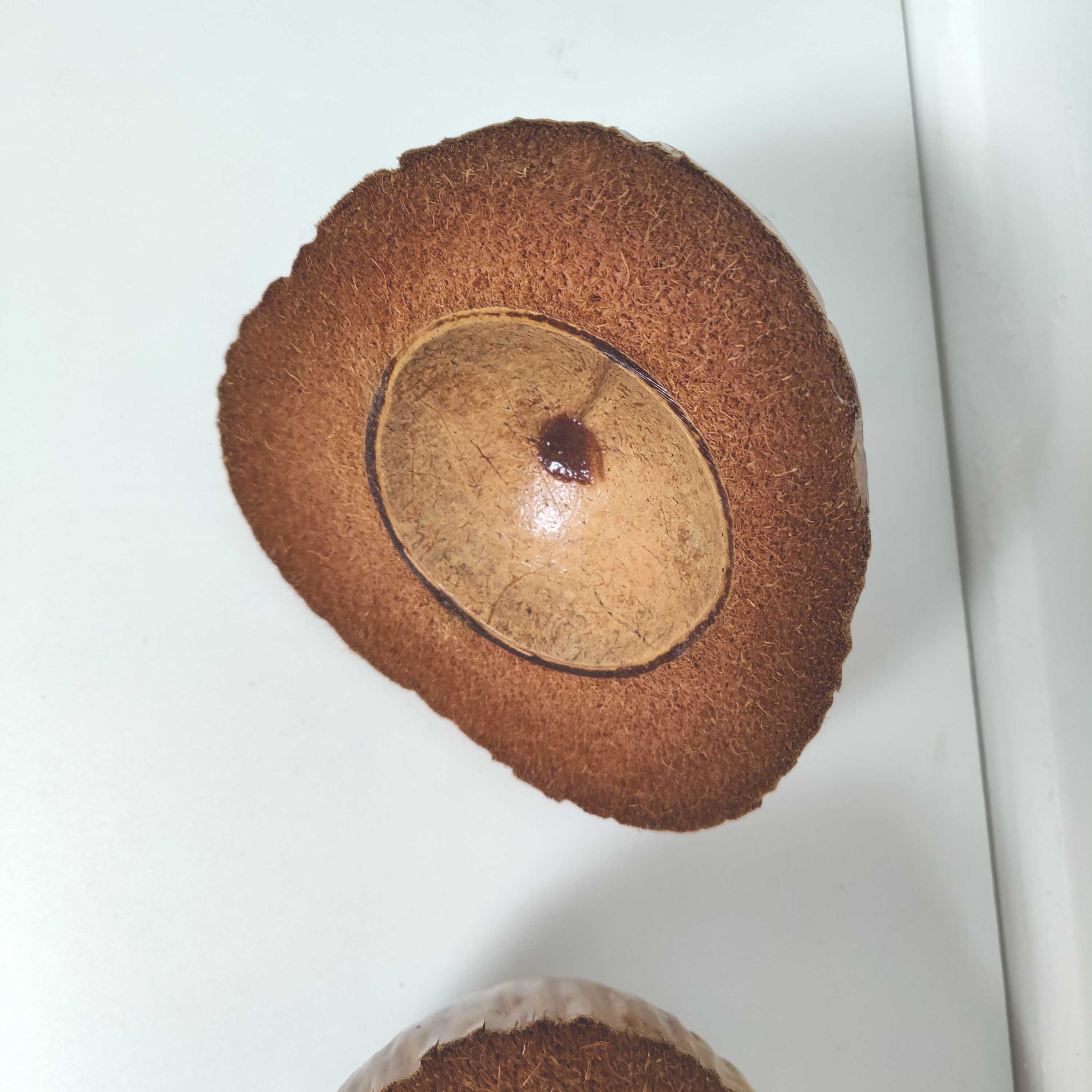 Vintage coconut ice bucket