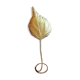 Lamp Tomaso Barbi