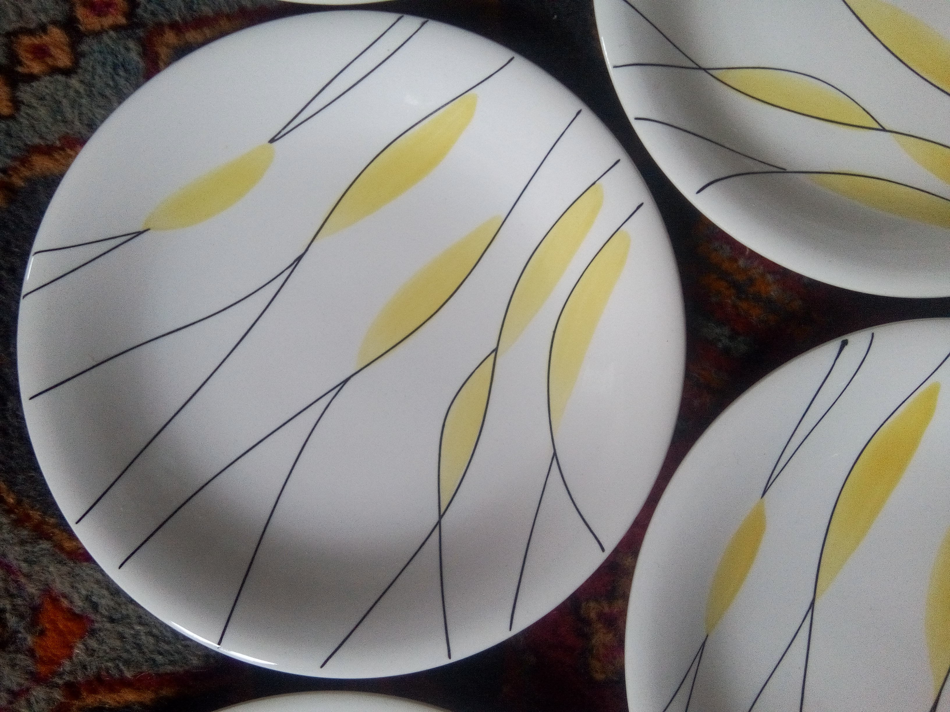 Salins "Moonlight" plates