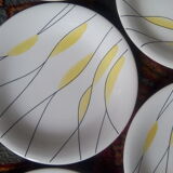 Salins "Moonlight" plates