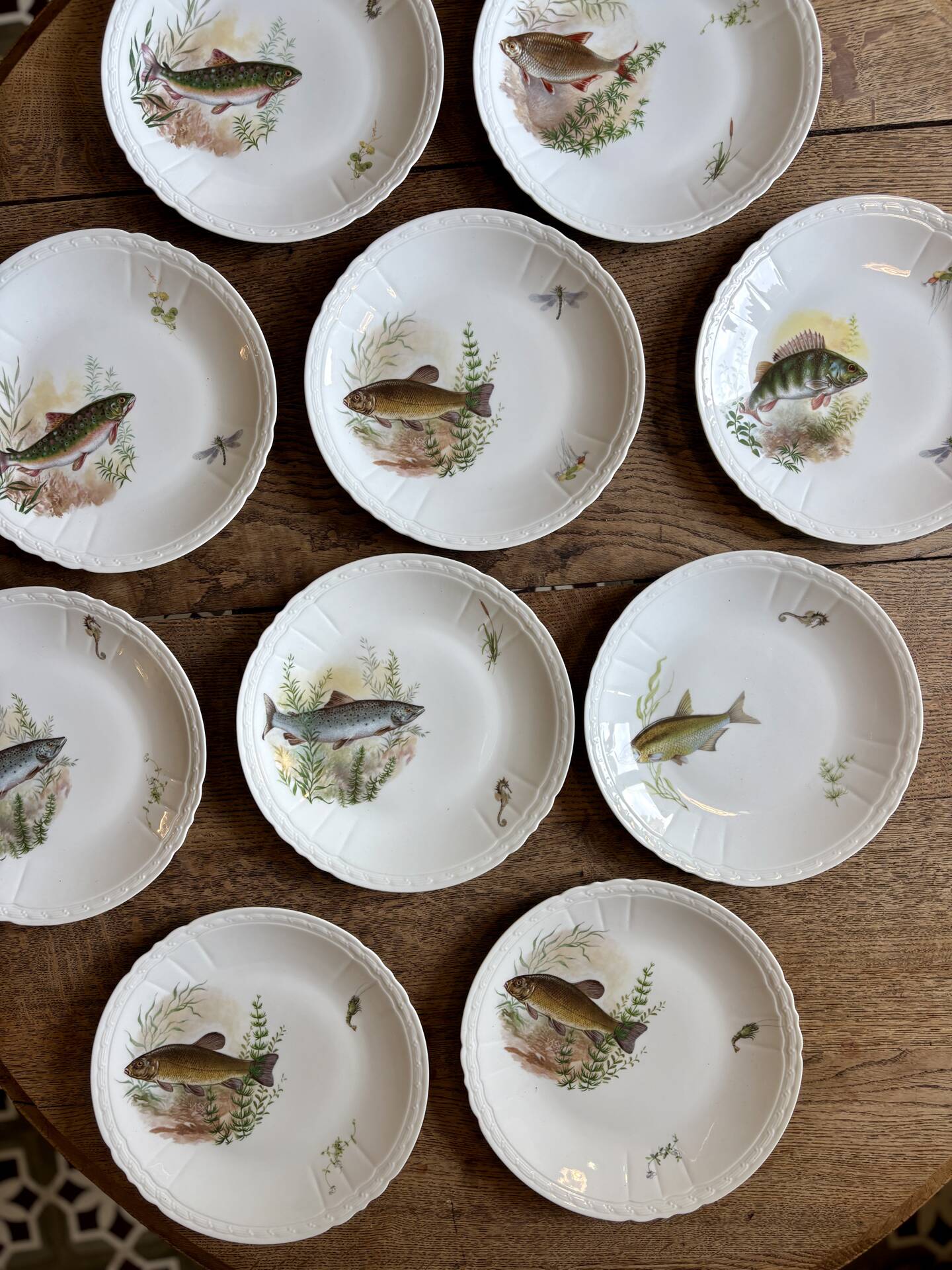 Set of 10 antique flat plates in porcelain, decorated with fish.
