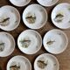 Set of 10 antique flat plates in porcelain, decorated with fish.