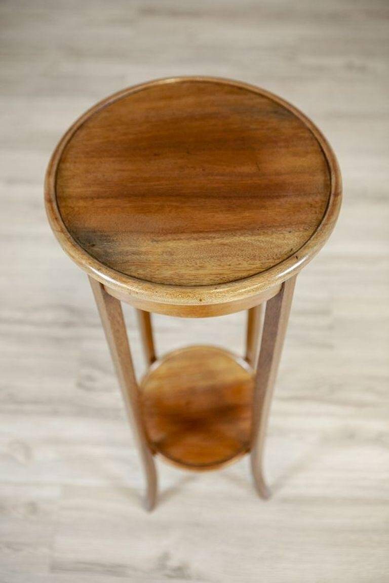 20th Century Mahogany Plant Stand, 1940s