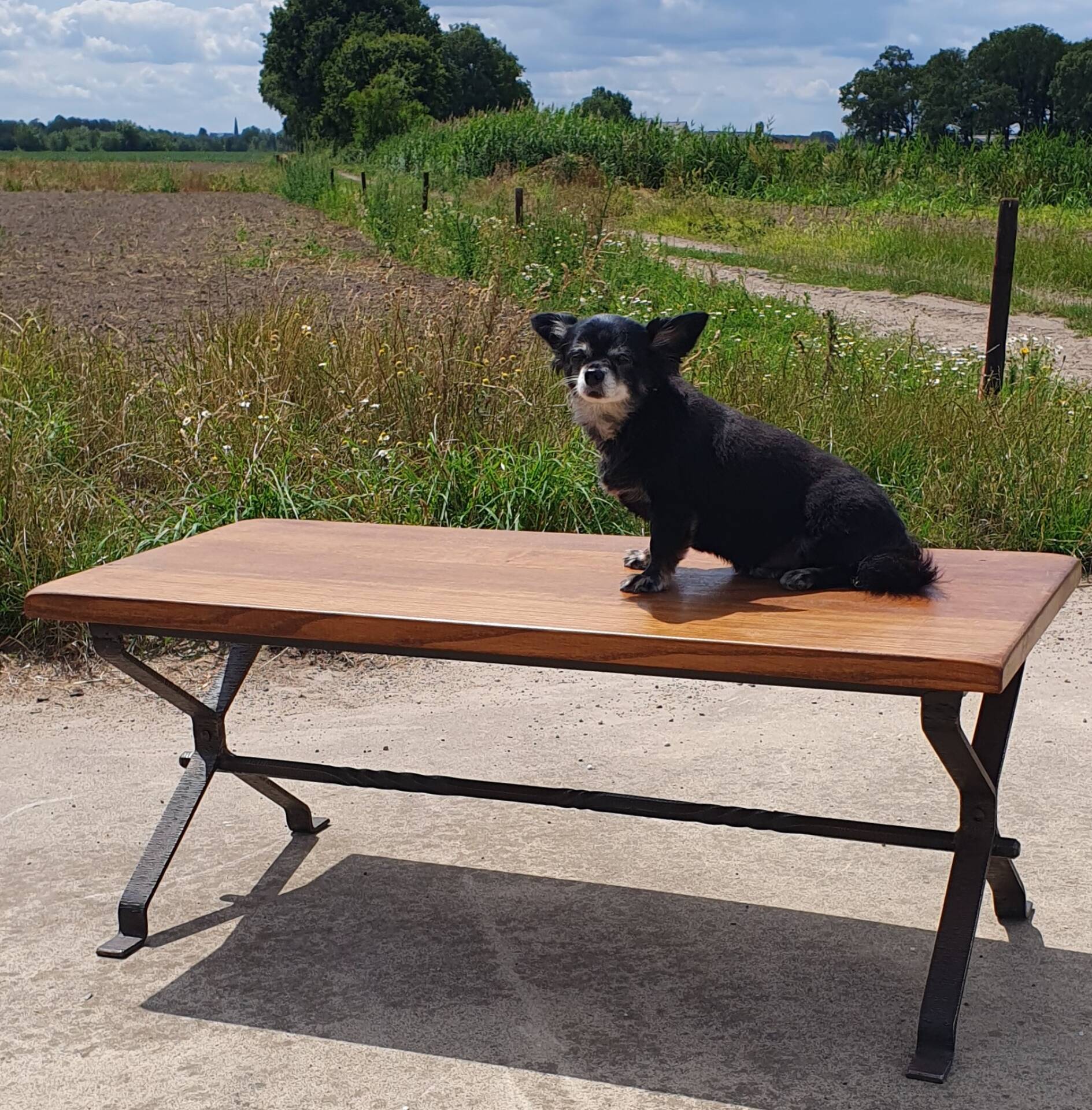 1970s Coffee table oak wrought iron 115 cm