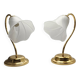 Lampe vintage col de signe