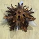 Gold metal leaf ceiling 6 bulbs
