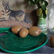 Free-form presentation dish Green Slurry 50s