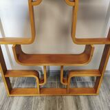 Room Divider by Ludvik Volak for Drevopodnik Holesov