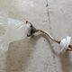 Art Nouveau tulip wall lamp