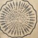 Vintage botanical poster wall board 1970's hand made pharmaceutical university