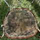 Lot of 2 garden chairs