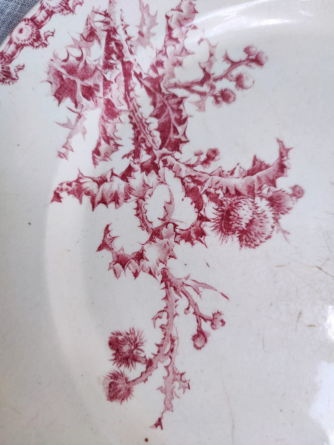 Dish Pink Thistles Porcelain Opaque by Gien