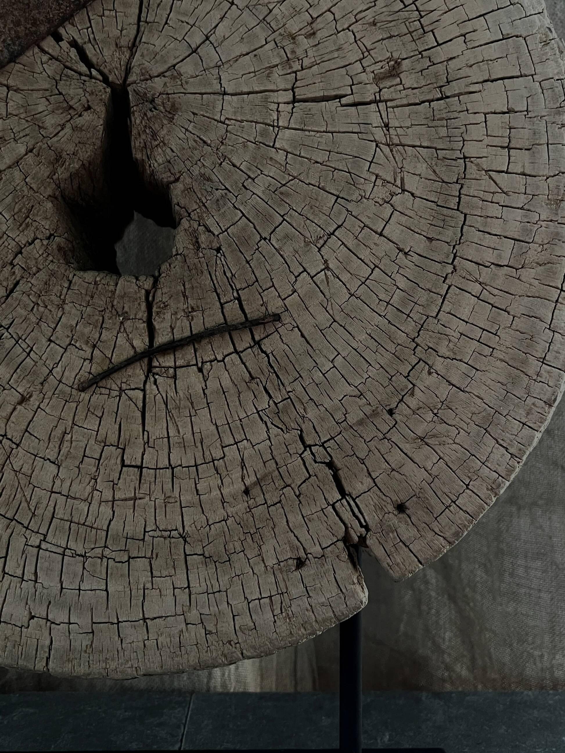 Sculptural wood - Ø44cm