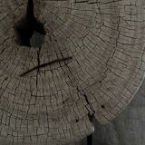 Sculptural wood - Ø44cm