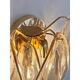 Pair of Amber “Rondini” Murano Glass Gold Wall Sconces — Mazzega Style
