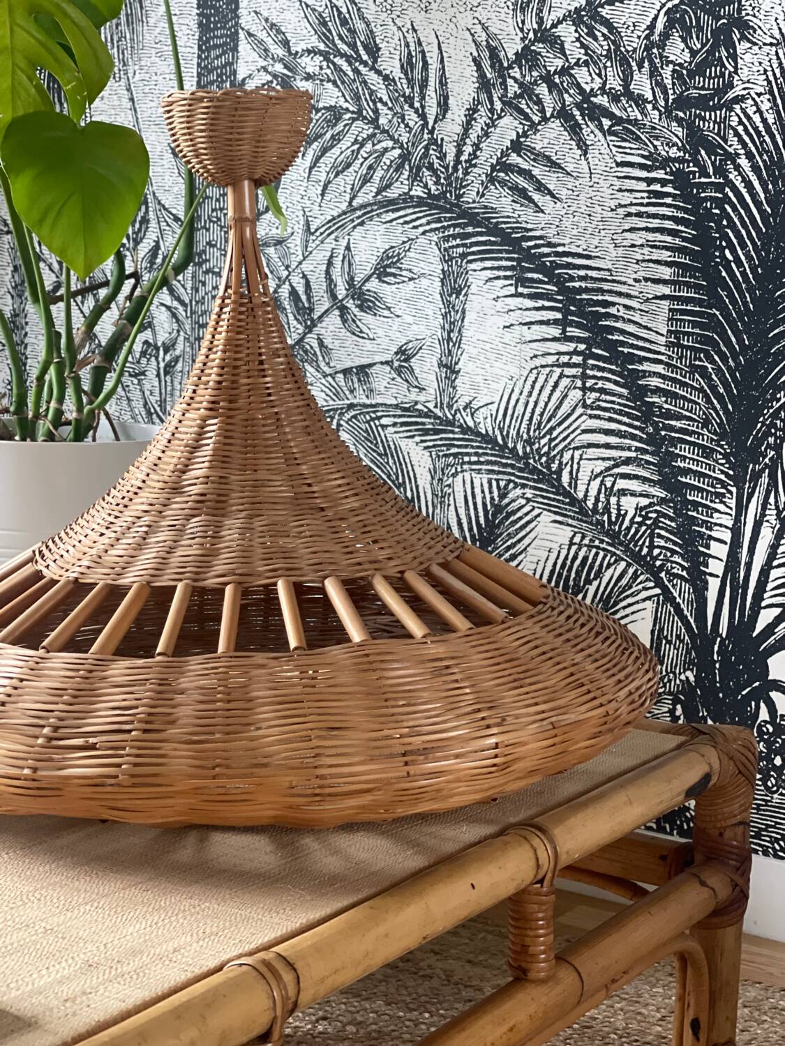 Rattan suspension 1960