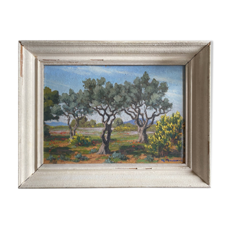 HSP Landscape painting with "Olive trees and broom" by Raymond Goubert + frame