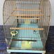 Vintage birdcage