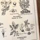 Old school poster vintage botanical poster