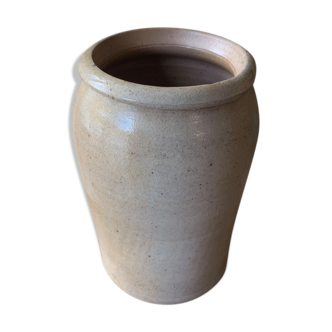Pot in reeds