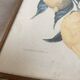 Botanical posters, flower and lemon lithographs, metal frame