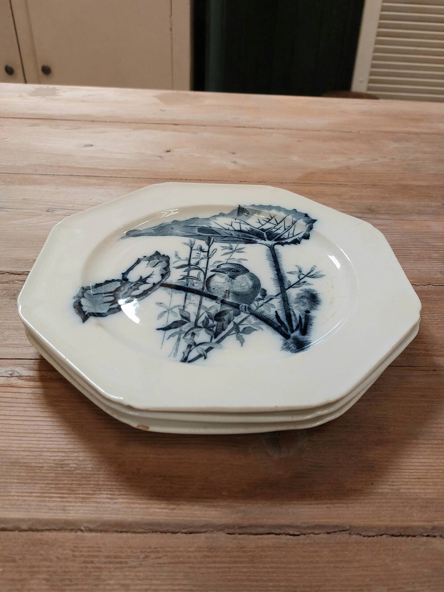 Set of three ironstone plates decorated with birds.