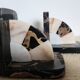Art Deco pair of bookends in Portor marble and onyx, 1930s-1950s.