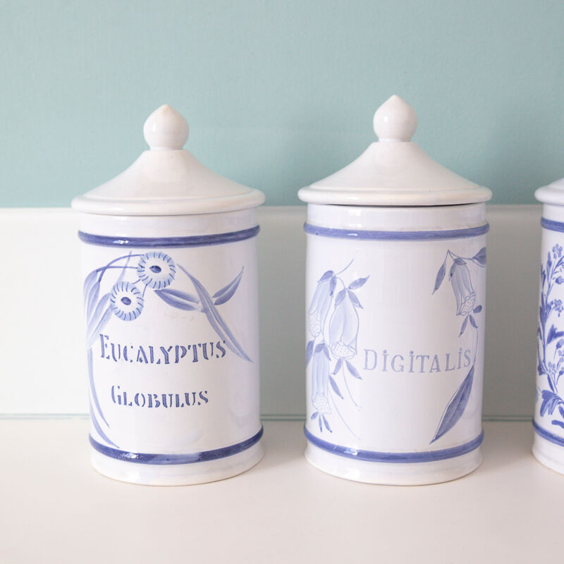 5 pots ceramic pharmacy ceramic earthenware of Longchamp