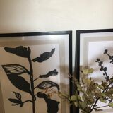 Diptych illustration plants caly