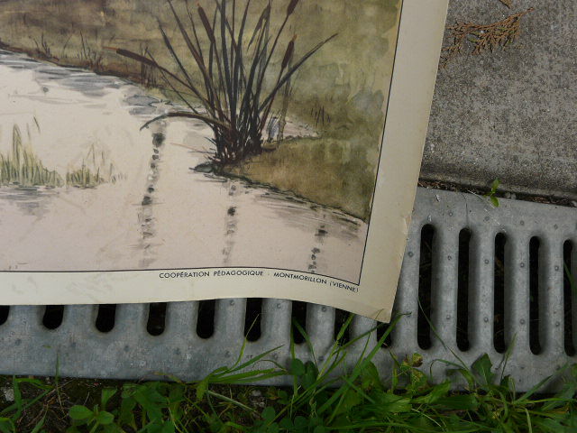 School poster Rossignol collection 50s, N° 17 and 18 the sandy and clayey terrain