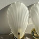 Pair of shell sconces