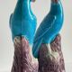 Pair of phenix birds chinese porcelain early 20th century