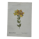 Botanical Plate 1800 Old naturalist engraving 19th century double-sided
