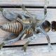 Brass fly ashtray