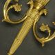 Pair of wall sconces, quiver and eagle heads, Louis XVI style - gilded bronze