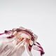 Murano Organic Cup - Peach & Fuchsia Gradient - Star 1960