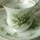 Queen's royal albert english porcelain coffee tea cup month of may