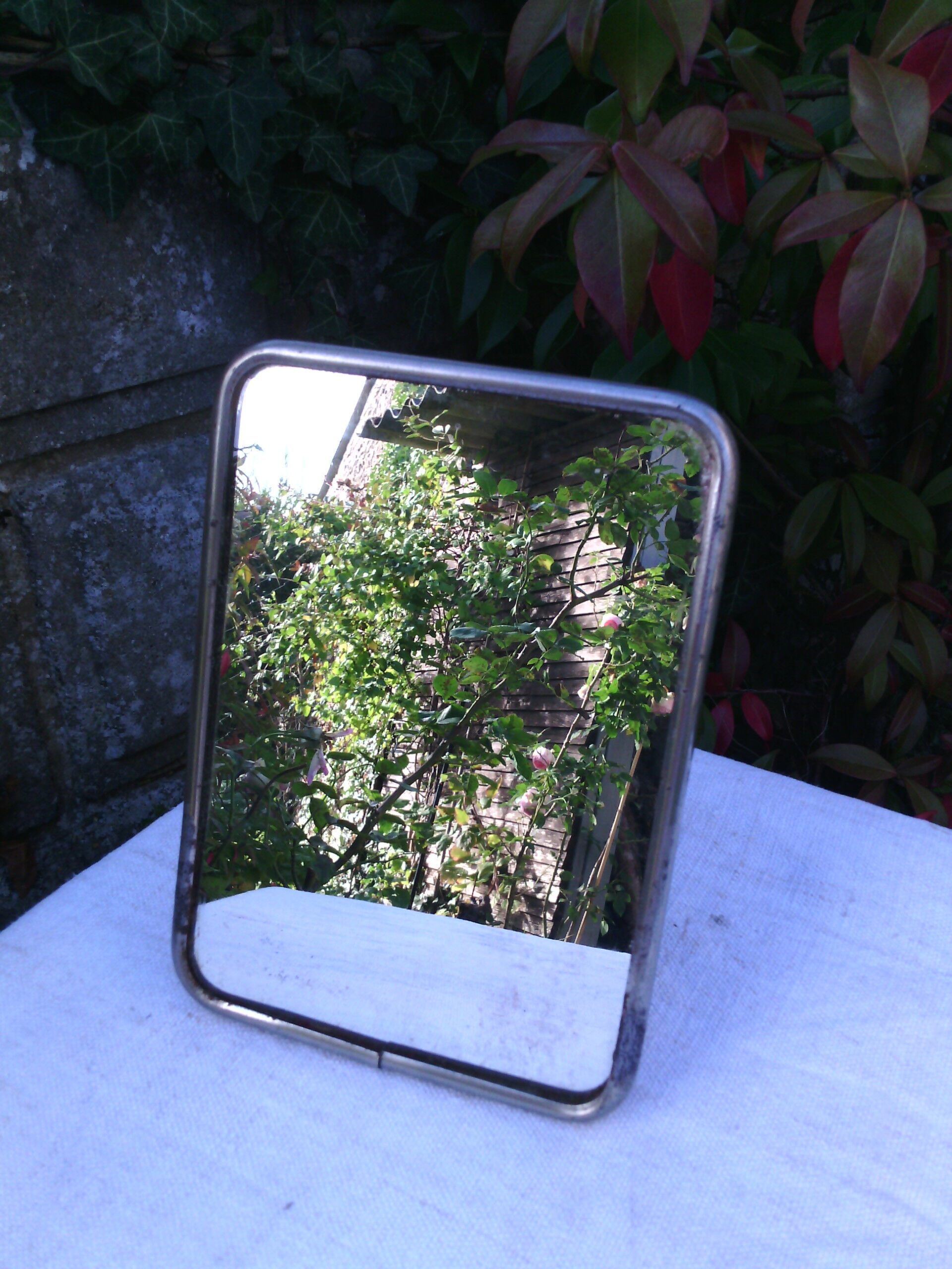 Mirror of the Barber