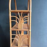 Rattan library shelf