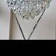 Lustre OTT International