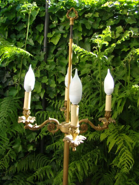 St Louis XVI floor lamp