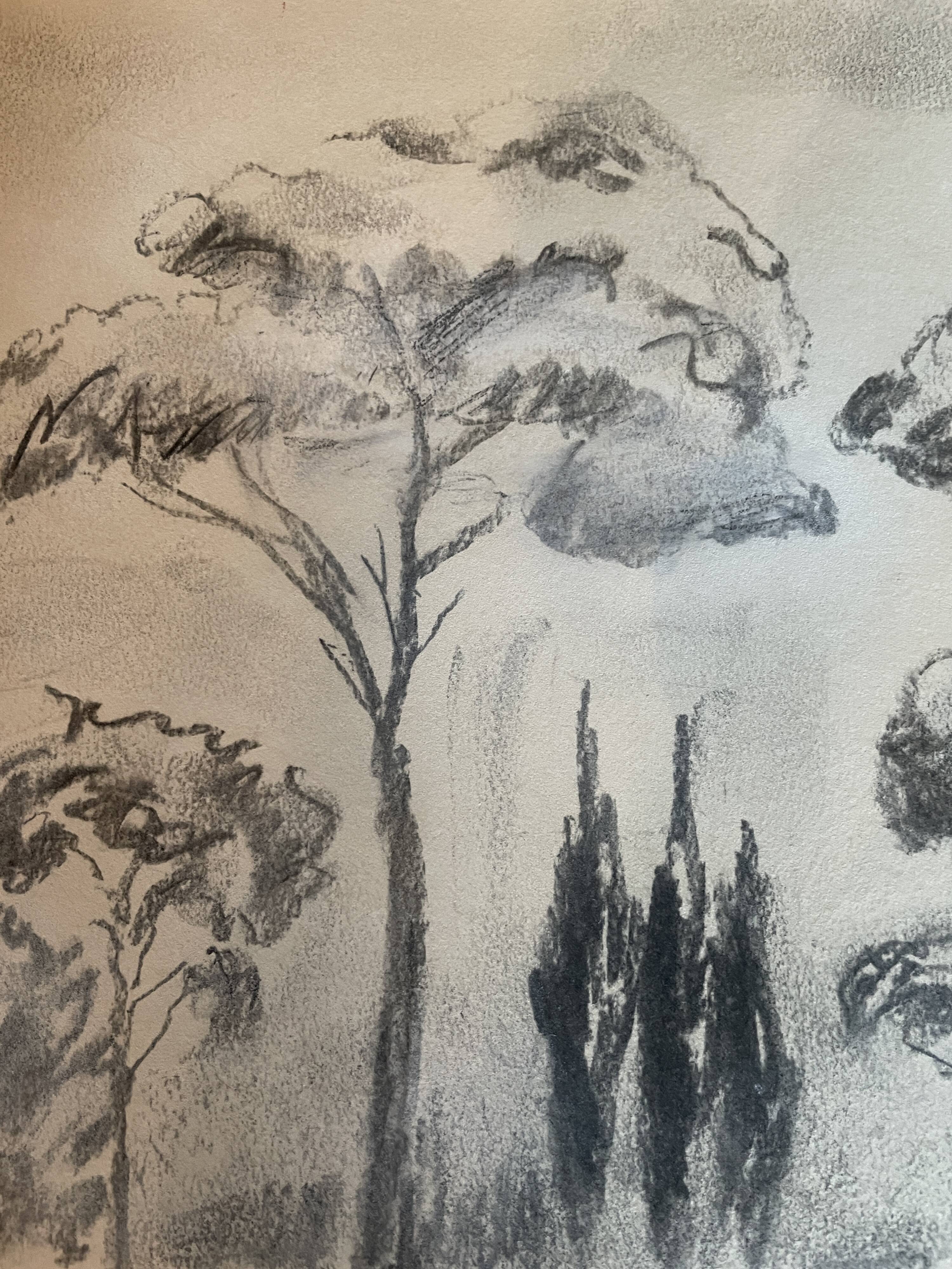 Charcoal painting signed “landscape of Provence” umbrella pines