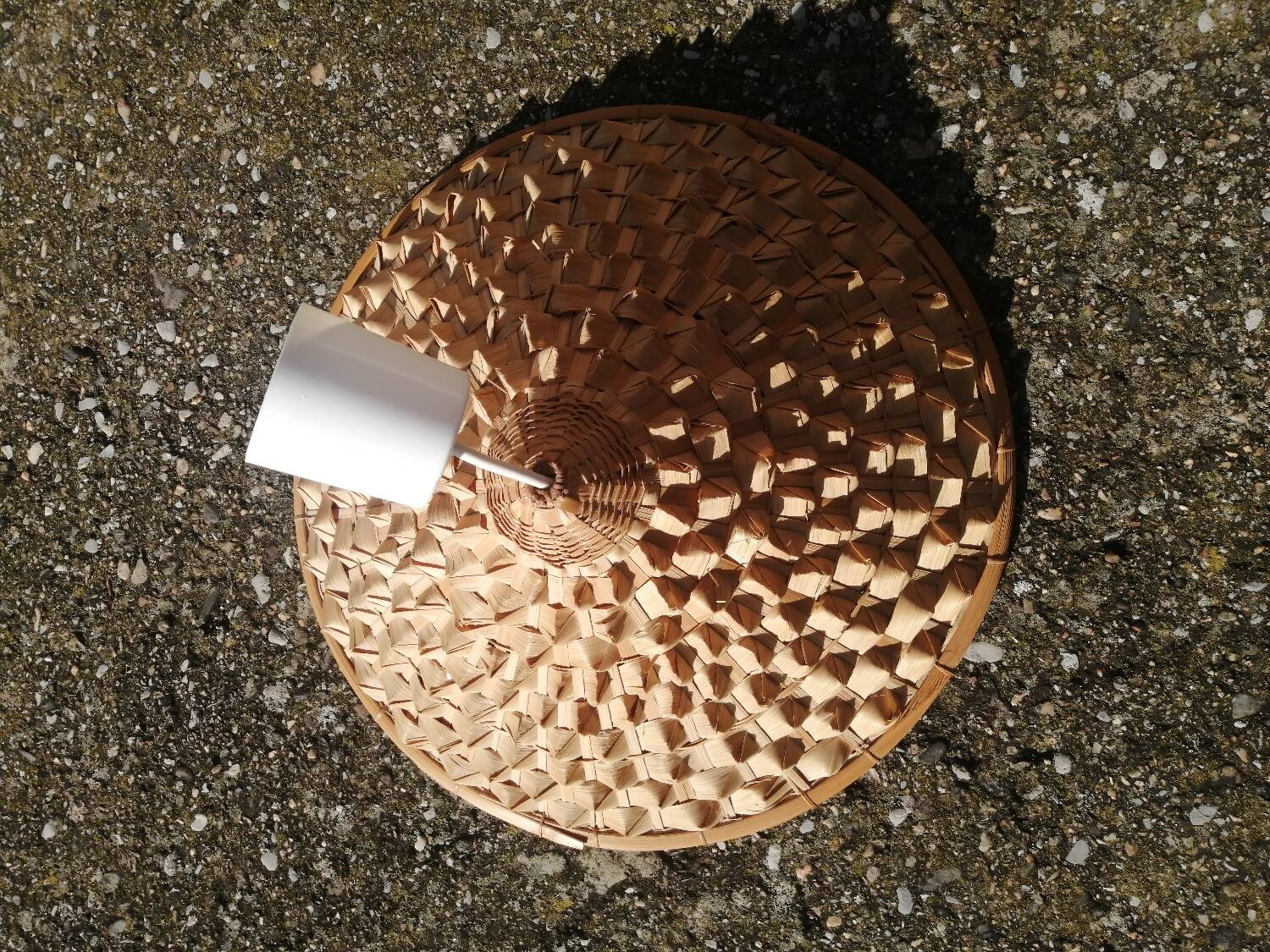 Vintage palm leaf pendant light