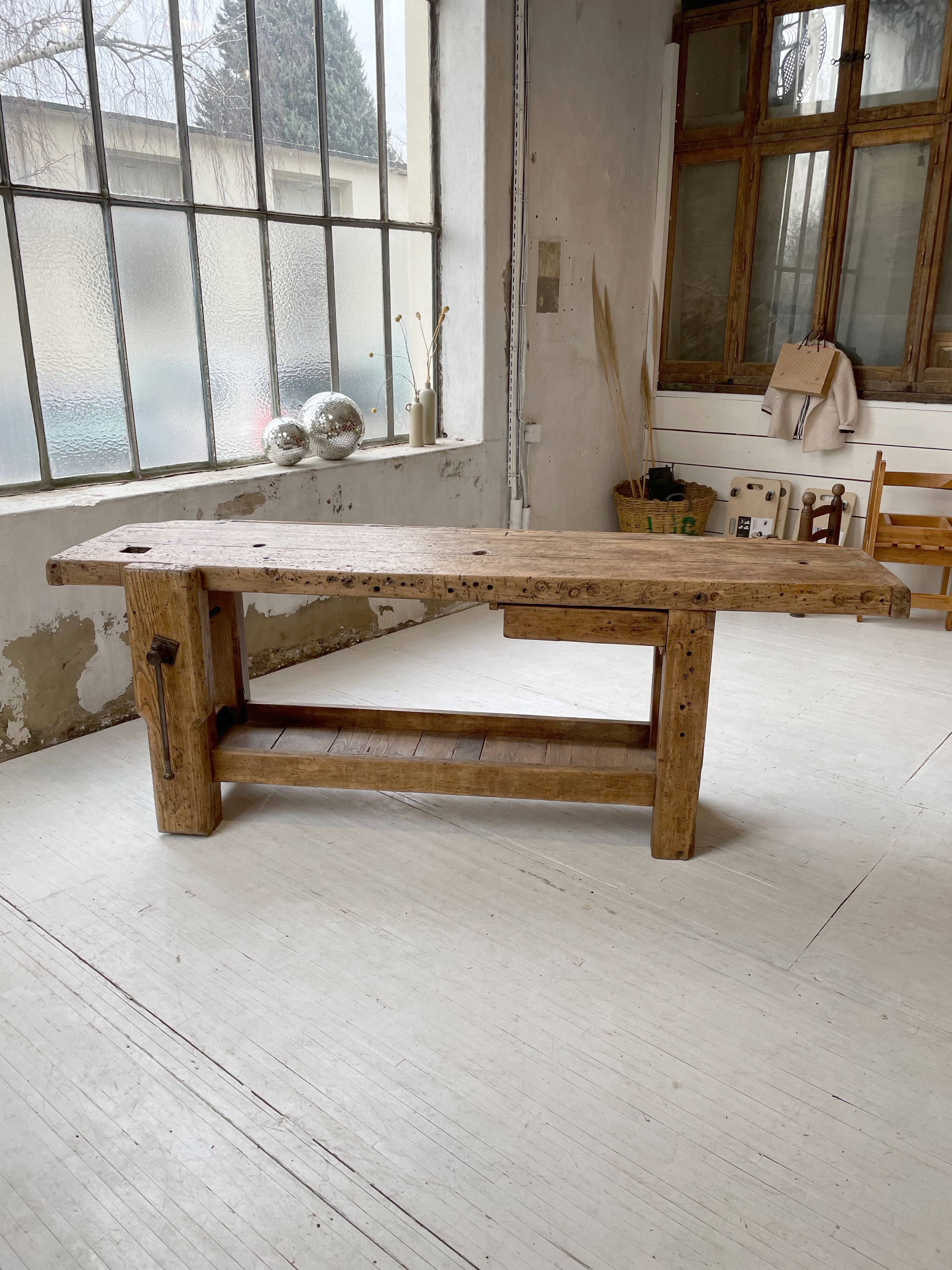 Established old oak XL