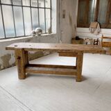 Established old oak XL