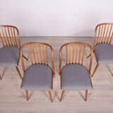 Dining Chairs by Antonín Šuman for Ton, 1960s, Set of 4